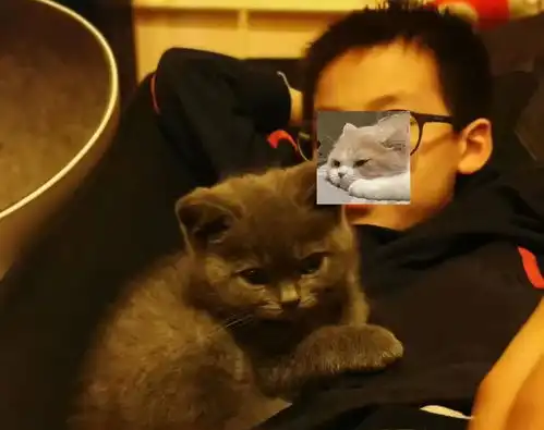  自闭症男孩与猫我的频道,只有你听到