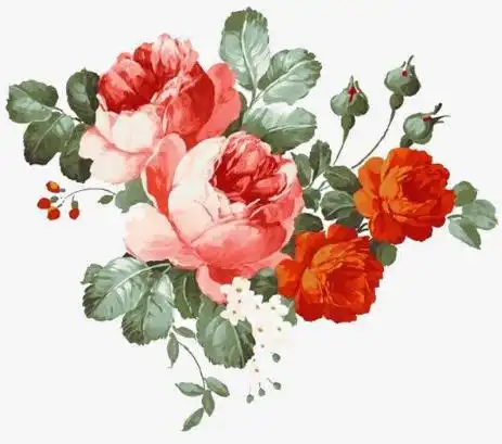  浔图宅家课堂雨生百谷,生机盎然万物皆美好