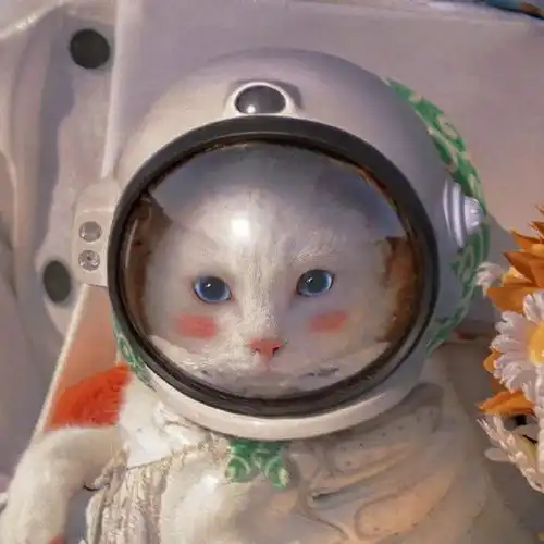 每日头像 每日头像