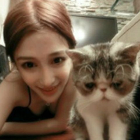  要一个男孩和猫的头像可以和这个配情侣头像的