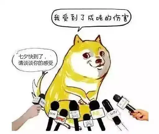  如何过一个完美的七夕单身狗和情侣是这么回答的......