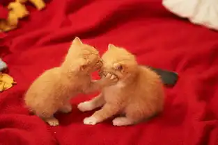  躲过情人节却被这群猫男女虐一脸