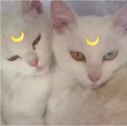  emoji要闹哪样p图当吉祥物写春联,这么腻害咋不上天呢