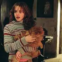  哈利波特情侣头像高清微信头像图片大全