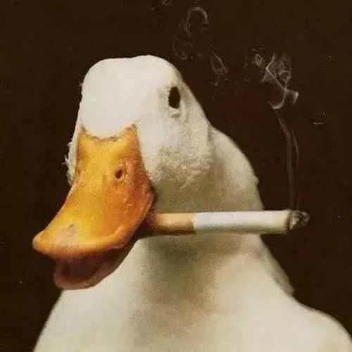  一波搞笑的沙雕头像