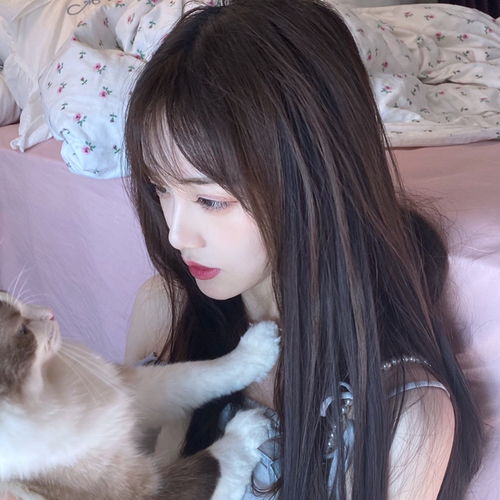  情头今天男朋友是啥情侣头像之是猫咪哦