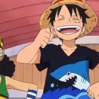 海贼王谁适合做qq头像 海贼王谁适合做qq头像