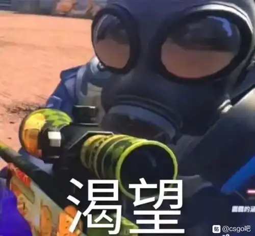  csgo目前每天都在坚持的事另找队友