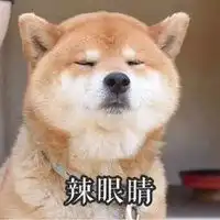 2018网红锅盖头像微信头像图片大全 2018网红锅盖头像微信头像图片大全