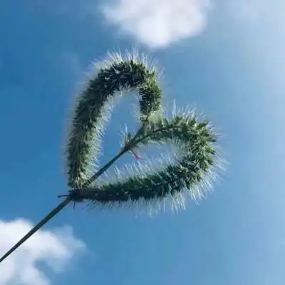  微信头像天空唯美图片蓝天云朵头像