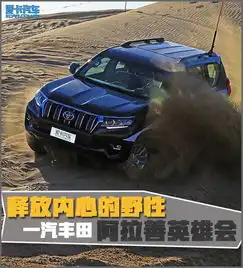  图文释放内心的野性一汽丰田阿拉善英雄会