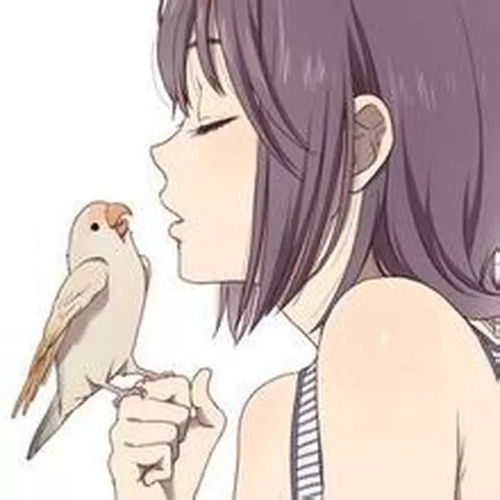  二次元头像
