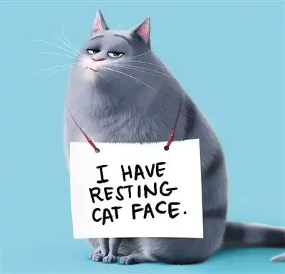  爱宠大机密萌过小黄人,疯过动物城