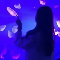  我就是我独一无二图片