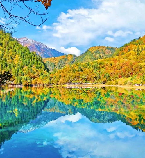  如果要在我国选出6a级景区,我一定选这10个地方,你去过几个