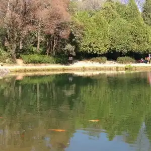 情侣头像大全最新版蝴蝶泉