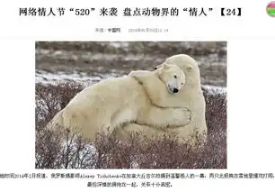 动物也有情人节呀