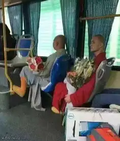  图片卧槽,一只想不开的鸡要自杀