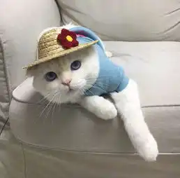 情侣头像阁下的心本姑娘收下了 情侣头像阁下的心本姑娘收下了