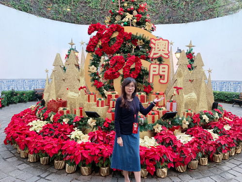  闺蜜二人的澳门行,一场好玩好拍好买好食的年末双旦之旅