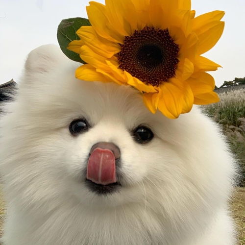  朋友总是说想自杀