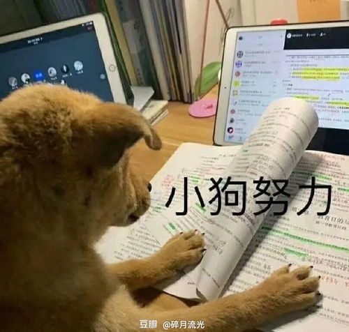  什么狗屁好朋友