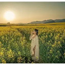  2020罗平油菜花景区门票,罗平罗平油菜花景区游玩攻略,罗平油菜花景区游览攻略路线地址门票价格