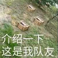  落地成盒文字情侣头像微信头像图片大全