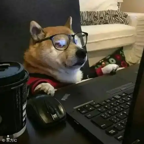  职场的最高段位,是以投资心态面对工作企业管理者也值得细读