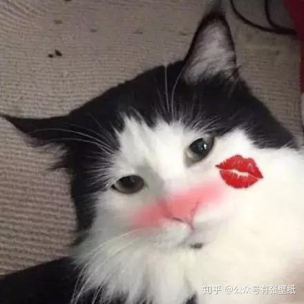 可爱又搞怪的情侣头像,每一张都想保存