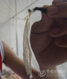  济宁网友曝避孕套做头绳称很雷很龌龊