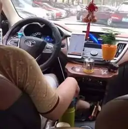  收藏大视界坐在文玩人开的车里,就跟逛花鸟市场似的