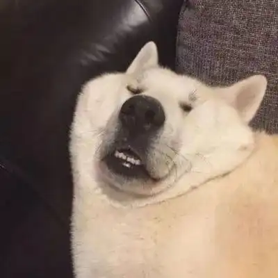 搞笑的情侣头像真人版惹