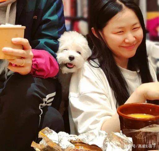  李佳琦金婧be了女方男友被扒出,十分有才是动画不良人编导