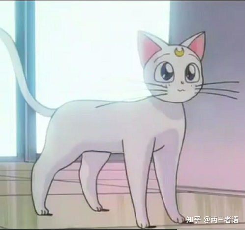  有什么低调不易看出的情侣头像