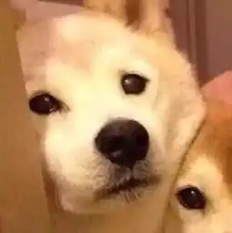 沙雕头像情侣真人闺蜜
