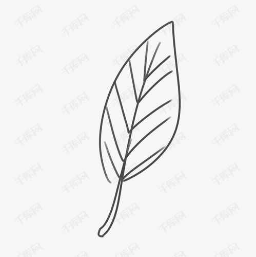  黑色手绘树叶线条素材图片免费下载千库网