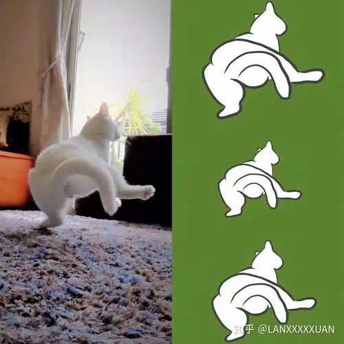 有没有什么不明显的情侣头像呀第一眼看不出来的 有没有什么不明显的情侣头像呀第一眼看不出来的