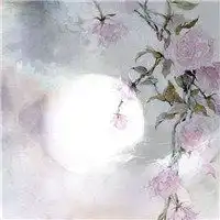  风水头像图片大全微信头像图片大全