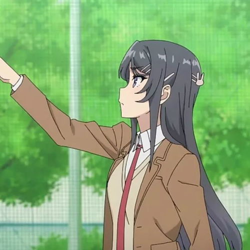  青春猪头少年不会梦到兔女郎学姐