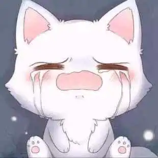  奥奇传说