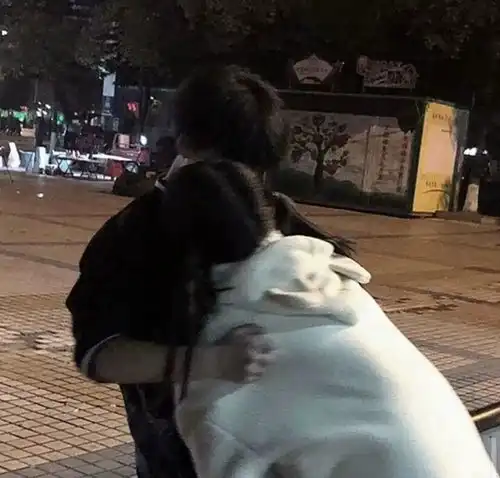  情侣头像0214甜甜的情人节头像甜蜜文案