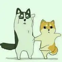  二哈和柴犬的情侣头像微信头像图片大全