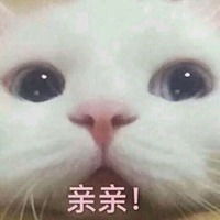  猫咪乖巧表情包微信头像图片大全