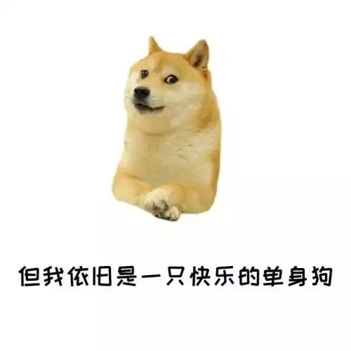  8种单身狗的方式过情人节,隔壁的小情侣都羡慕哭了