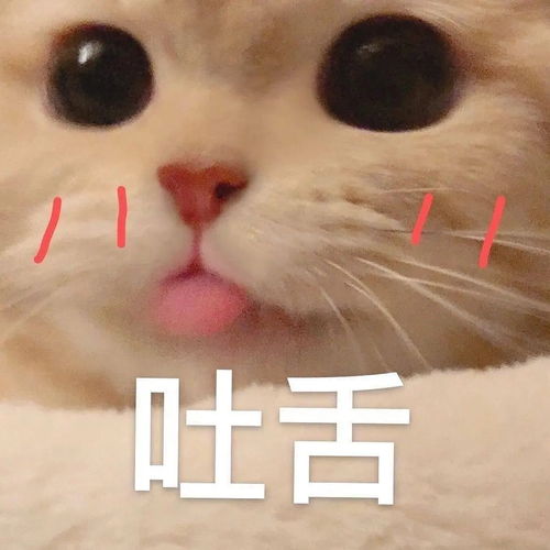  20082012年间小学定的漫画杂志连载,故事背景是...