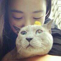 情侣头像抱猫