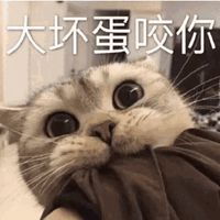  卖萌撒娇表情包微信头像图片大全