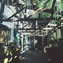  广东七大美女都在深圳,有你喜欢的吗