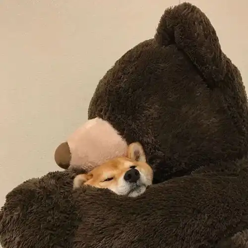 单身狗薯片情侣头像喜欢